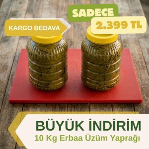 tokat erbaa bağ yaprağı kampanyası 10 kg