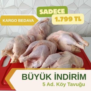 5 adet köy tavuğu