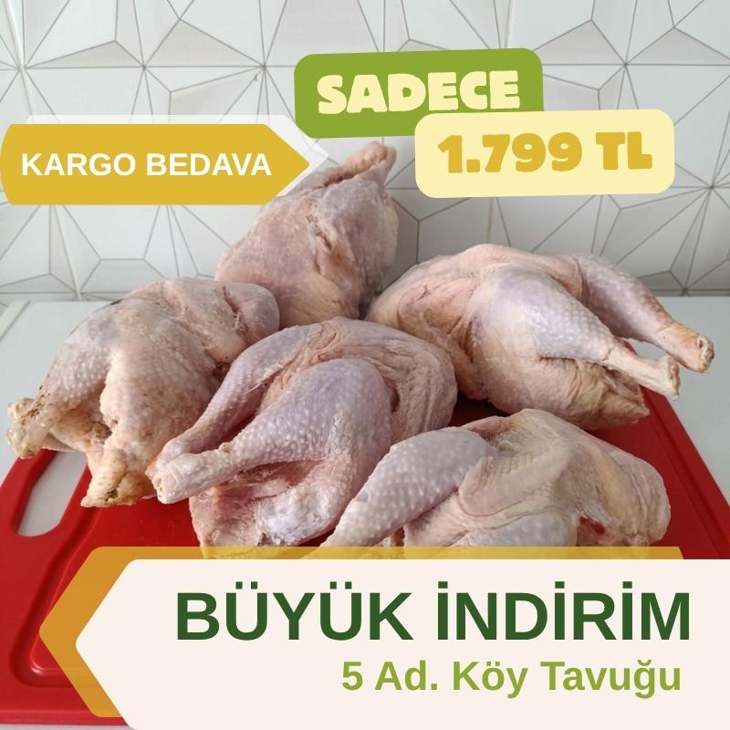 5 adet köy tavuğu 5 adet köy tavuğu