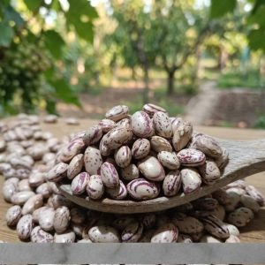 tokat barbunya fasulyesi doğal glutensiz yerli barbunya